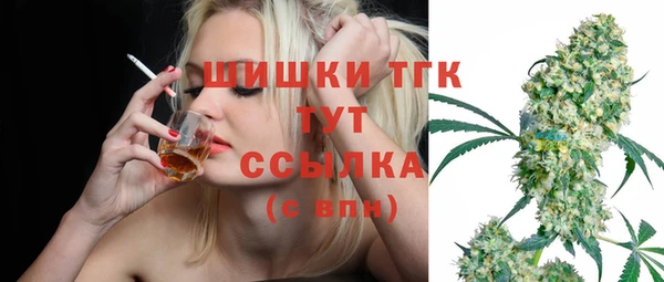 мдпв Дмитриев