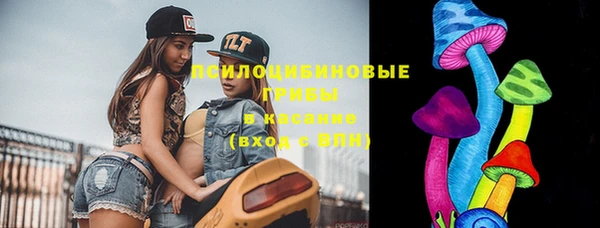 мдпв Дмитриев