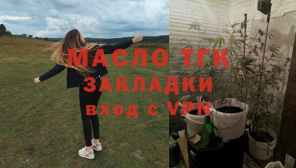спиды Елизово