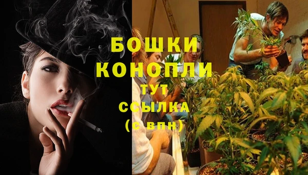 мдпв Дмитриев