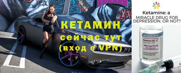 гидра Елабуга