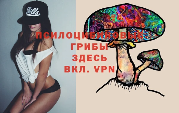 мдпв Дмитриев