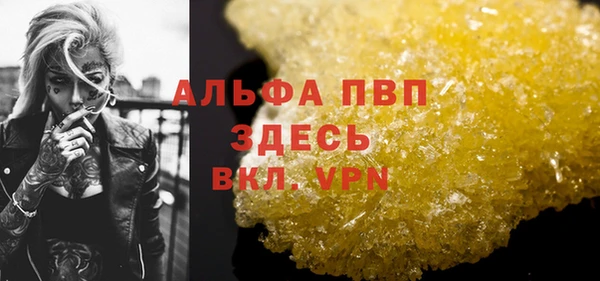 мдпв Дмитриев