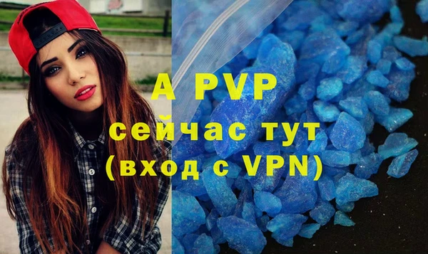 мдпв Дмитриев